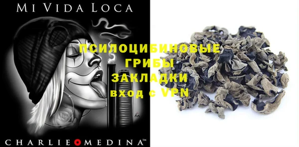 прущие грибы Богданович