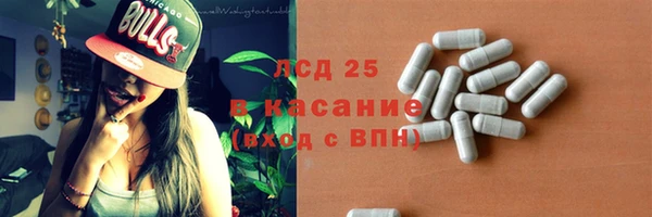прущие грибы Богданович