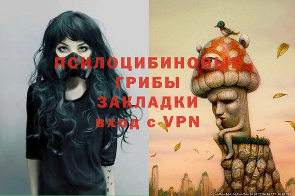 тгк Богородск