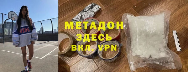 прущие грибы Богданович
